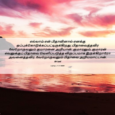 Picture 06 - மத்தேயு 11:27 TAMIRV - எல்லாம் என் - Bible Verse Picture