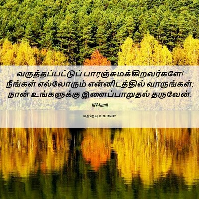 Picture 06 - மத்தேயு 11:28 TAMIRV - வருத்தப்பட்டுப் - Bible Verse Picture