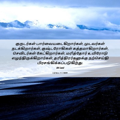 Picture 06 - மத்தேயு 11:5 TAMIRV - குருடர்கள் - Bible Verse Picture