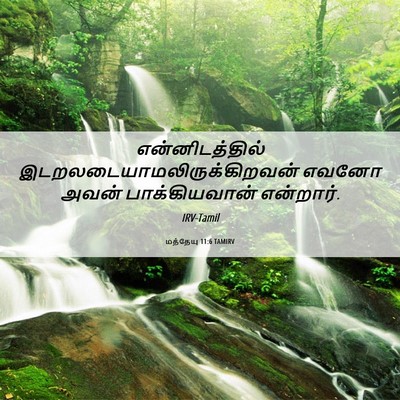Picture 06 - மத்தேயு 11:6 TAMIRV - என்னிடத்தில் - Bible Verse Picture