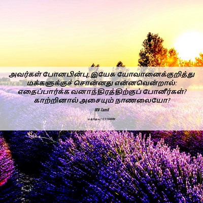 Picture 06 - மத்தேயு 11:7 TAMIRV - அவர்கள் - Bible Verse Picture