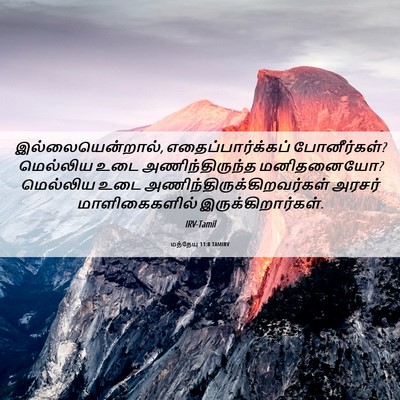 Picture 06 - மத்தேயு 11:8 TAMIRV - இல்லையென்றால், - Bible Verse Picture