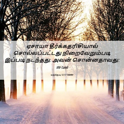 Picture 06 - மத்தேயு 12:17 TAMIRV - ஏசாயா - Bible Verse Picture