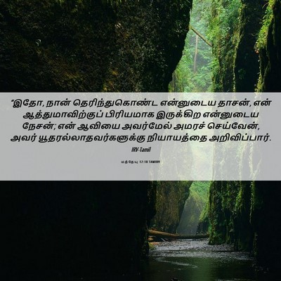 Picture 06 - மத்தேயு 12:18 TAMIRV - “இதோ, நான் - Bible Verse Picture