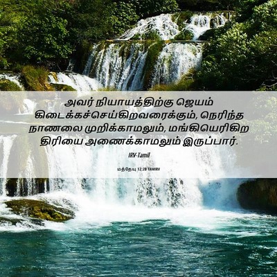 Picture 06 - மத்தேயு 12:20 TAMIRV - அவர் - Bible Verse Picture
