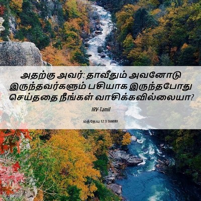 Picture 06 - மத்தேயு 12:3 TAMIRV - அதற்கு அவர்: - Bible Verse Picture
