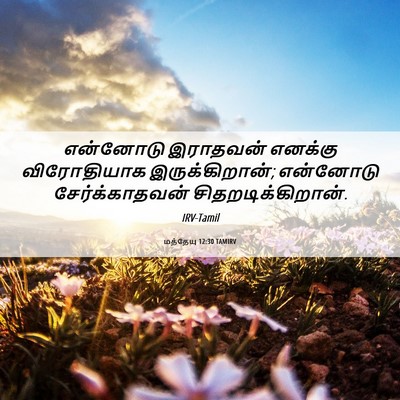 Picture 06 - மத்தேயு 12:30 TAMIRV - என்னோடு இராதவன் - Bible Verse Picture
