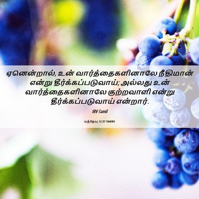 Picture 06 - மத்தேயு 12:37 TAMIRV - ஏனென்றால், உன் - Bible Verse Picture