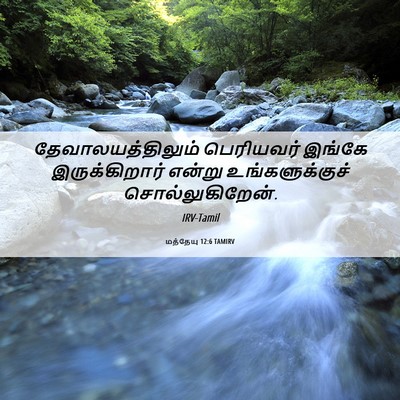 Picture 06 - மத்தேயு 12:6 TAMIRV - தேவாலயத்திலும் - Bible Verse Picture