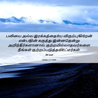 Picture 06 - மத்தேயு 12:7 TAMIRV - பலியை அல்ல - Bible Verse Picture