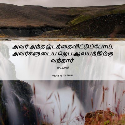 Picture 06 - மத்தேயு 12:9 TAMIRV - அவர் அந்த - Bible Verse Picture