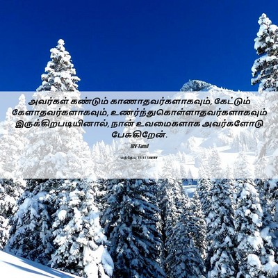 Picture 06 - மத்தேயு 13:13 TAMIRV - அவர்கள் கண்டும் - Bible Verse Picture