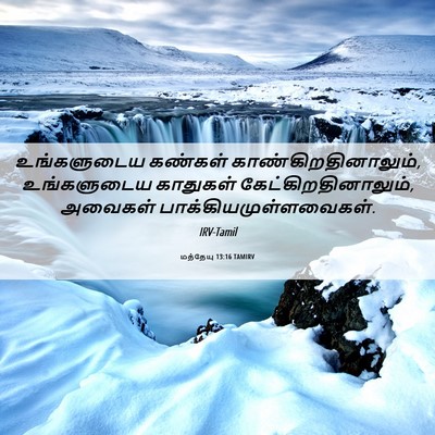 Picture 06 - மத்தேயு 13:16 TAMIRV - உங்களுடைய கண்கள் - Bible Verse Picture