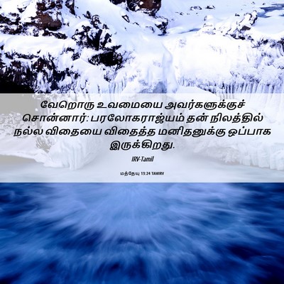Picture 06 - மத்தேயு 13:24 TAMIRV - வேறொரு உவமையை - Bible Verse Picture