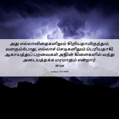 Picture 06 - மத்தேயு 13:32 TAMIRV - அது - Bible Verse Picture