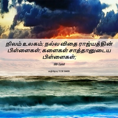 Picture 06 - மத்தேயு 13:38 TAMIRV - நிலம் உலகம்; நல்ல - Bible Verse Picture