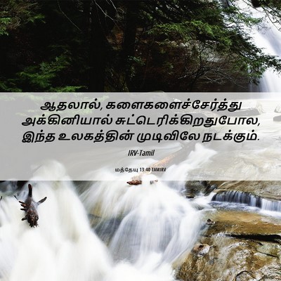 Picture 06 - மத்தேயு 13:40 TAMIRV - ஆதலால், - Bible Verse Picture