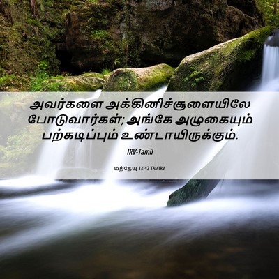 Picture 06 - மத்தேயு 13:42 TAMIRV - அவர்களை - Bible Verse Picture