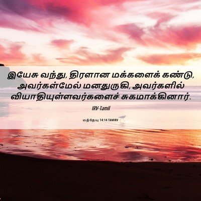 Picture 06 - மத்தேயு 14:14 TAMIRV - இயேசு வந்து, - Bible Verse Picture