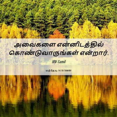 Picture 06 - மத்தேயு 14:18 TAMIRV - அவைகளை - Bible Verse Picture
