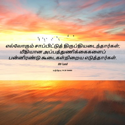 Picture 06 - மத்தேயு 14:20 TAMIRV - எல்லோரும் - Bible Verse Picture