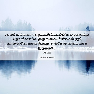 Picture 06 - மத்தேயு 14:23 TAMIRV - அவர் மக்களை - Bible Verse Picture