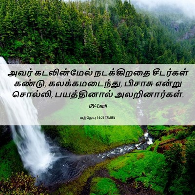Picture 06 - மத்தேயு 14:26 TAMIRV - அவர் கடலின்மேல் - Bible Verse Picture