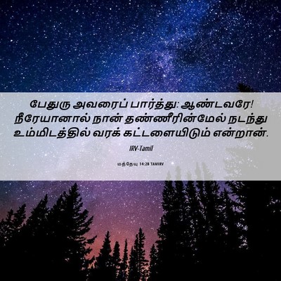 Picture 06 - மத்தேயு 14:28 TAMIRV - பேதுரு அவரைப் - Bible Verse Picture