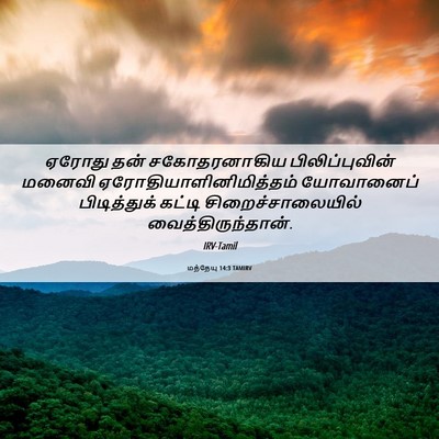 Picture 06 - மத்தேயு 14:3 TAMIRV - ஏரோது தன் - Bible Verse Picture