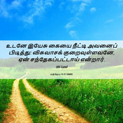 Picture 06 - மத்தேயு 14:31 TAMIRV - உடனே இயேசு கையை - Bible Verse Picture