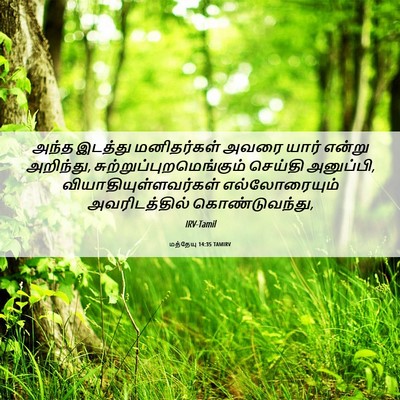 Picture 06 - மத்தேயு 14:35 TAMIRV - அந்த இடத்து - Bible Verse Picture