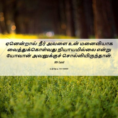Picture 06 - மத்தேயு 14:4 TAMIRV - ஏனென்றால்: நீர் - Bible Verse Picture