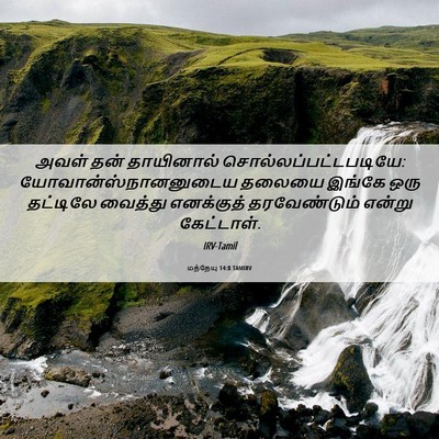 Picture 06 - மத்தேயு 14:8 TAMIRV - அவள் தன் தாயினால் - Bible Verse Picture