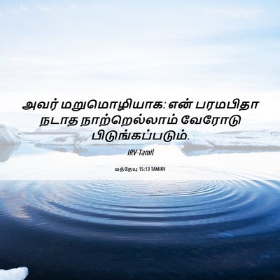 Picture 06 - மத்தேயு 15:13 TAMIRV - அவர் மறுமொழியாக: - Bible Verse Picture