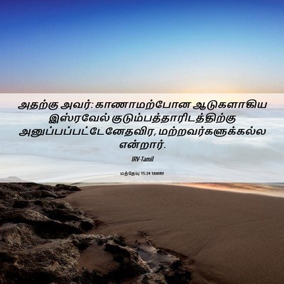 Picture 06 - மத்தேயு 15:24 TAMIRV - அதற்கு அவர்: - Bible Verse Picture