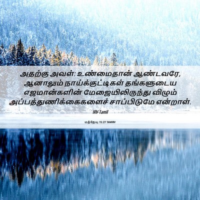 Picture 06 - மத்தேயு 15:27 TAMIRV - அதற்கு அவள்: - Bible Verse Picture
