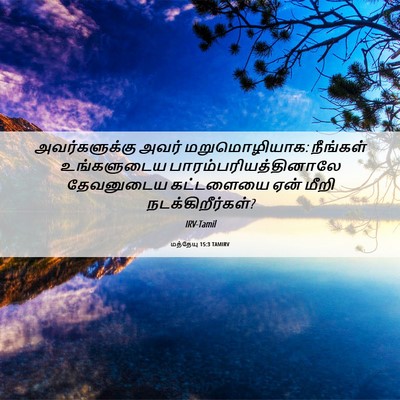 Picture 06 - மத்தேயு 15:3 TAMIRV - அவர்களுக்கு அவர் - Bible Verse Picture
