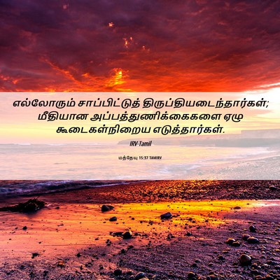 Picture 06 - மத்தேயு 15:37 TAMIRV - எல்லோரும் - Bible Verse Picture