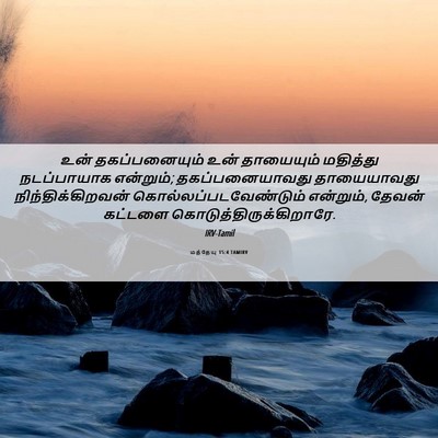 Picture 06 - மத்தேயு 15:4 TAMIRV - உன் தகப்பனையும் - Bible Verse Picture