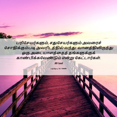Picture 06 - மத்தேயு 16:1 TAMIRV - பரிசேயர்களும், - Bible Verse Picture
