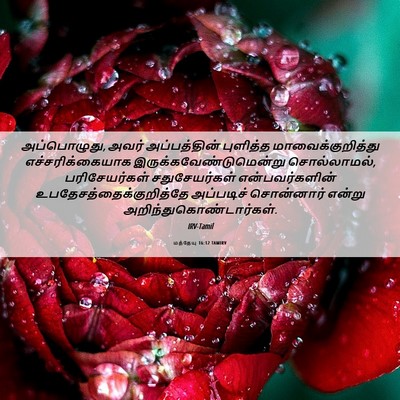Picture 06 - மத்தேயு 16:12 TAMIRV - அப்பொழுது, அவர் - Bible Verse Picture