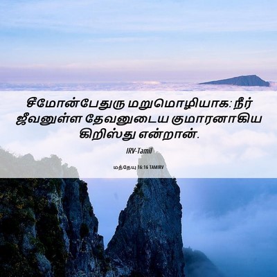 Picture 06 - மத்தேயு 16:16 TAMIRV - சீமோன்பேதுரு - Bible Verse Picture