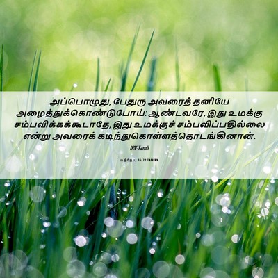 Picture 06 - மத்தேயு 16:22 TAMIRV - அப்பொழுது, பேதுரு - Bible Verse Picture