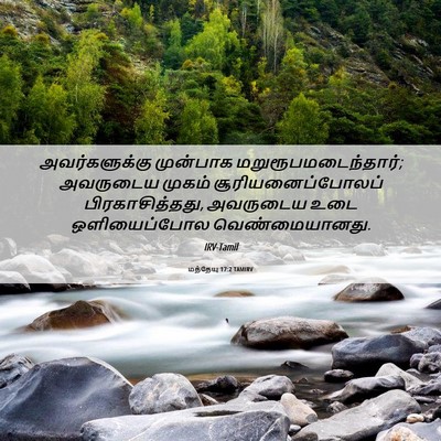 Picture 06 - மத்தேயு 17:2 TAMIRV - அவர்களுக்கு - Bible Verse Picture