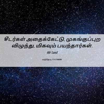 Picture 06 - மத்தேயு 17:6 TAMIRV - சீடர்கள் - Bible Verse Picture