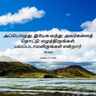 Picture 06 - மத்தேயு 17:7 TAMIRV - அப்பொழுது, இயேசு - Bible Verse Picture