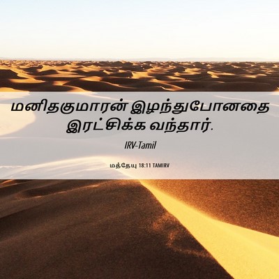Picture 06 - மத்தேயு 18:11 TAMIRV - மனிதகுமாரன் - Bible Verse Picture
