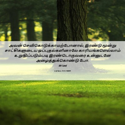 Picture 06 - மத்தேயு 18:16 TAMIRV - அவன் - Bible Verse Picture