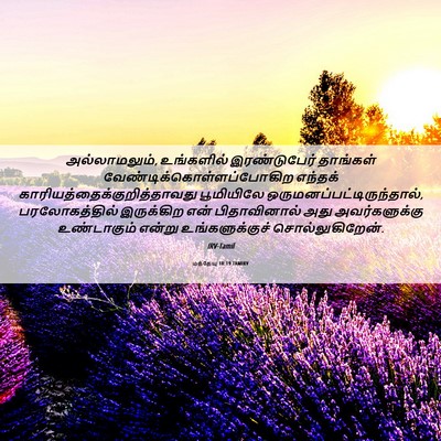 Picture 06 - மத்தேயு 18:19 TAMIRV - அல்லாமலும், - Bible Verse Picture