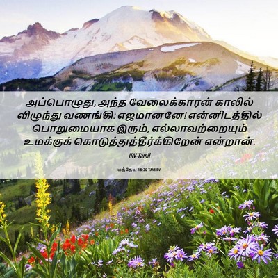 Picture 06 - மத்தேயு 18:26 TAMIRV - அப்பொழுது, அந்த - Bible Verse Picture